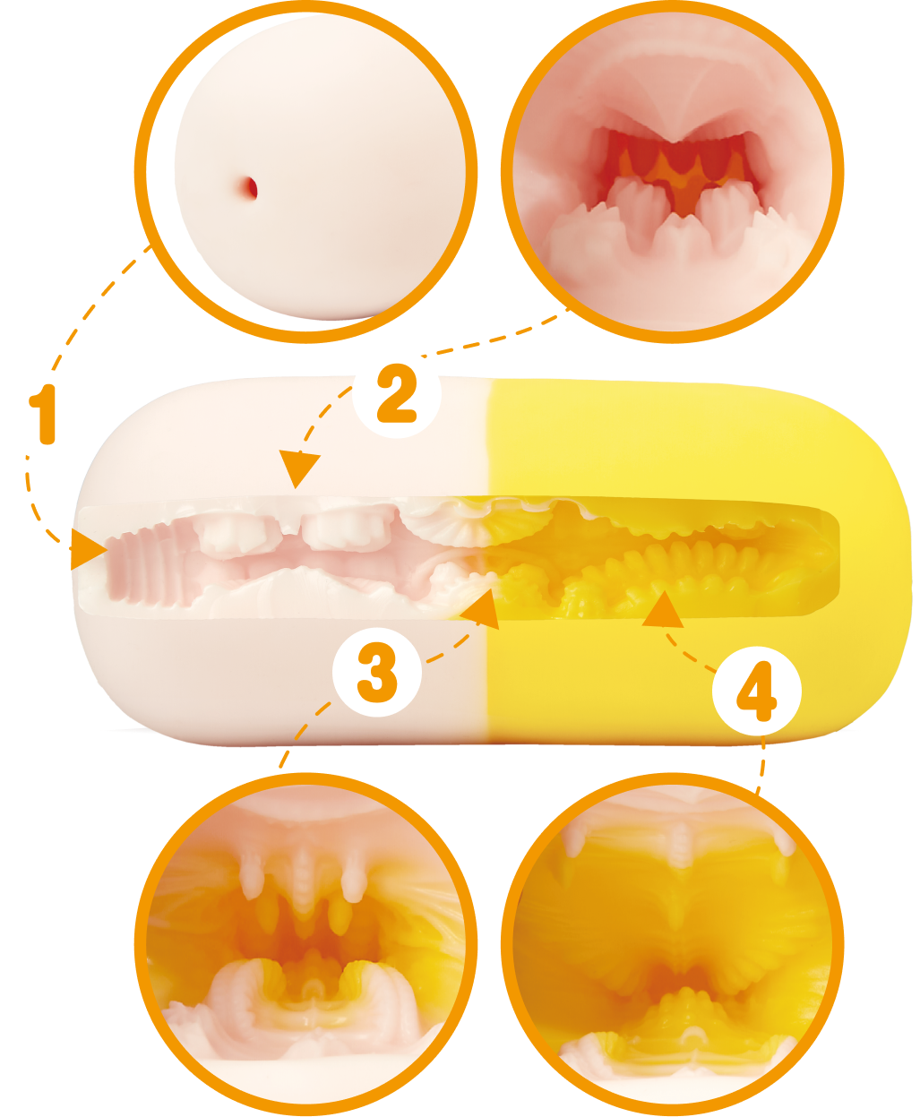 Schéma du tunnel Doctor's Deep Dive — 4 zones, 13 cm